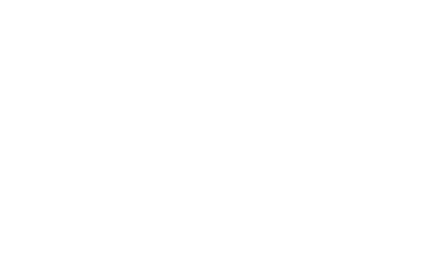카리스 아카데미
